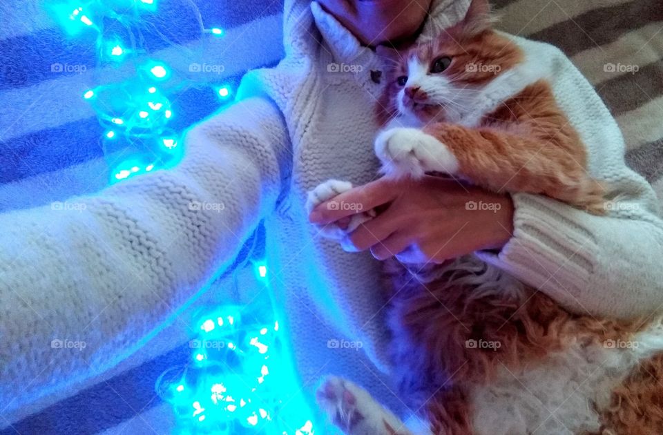 selfie girl with cat pet and Christmas lights