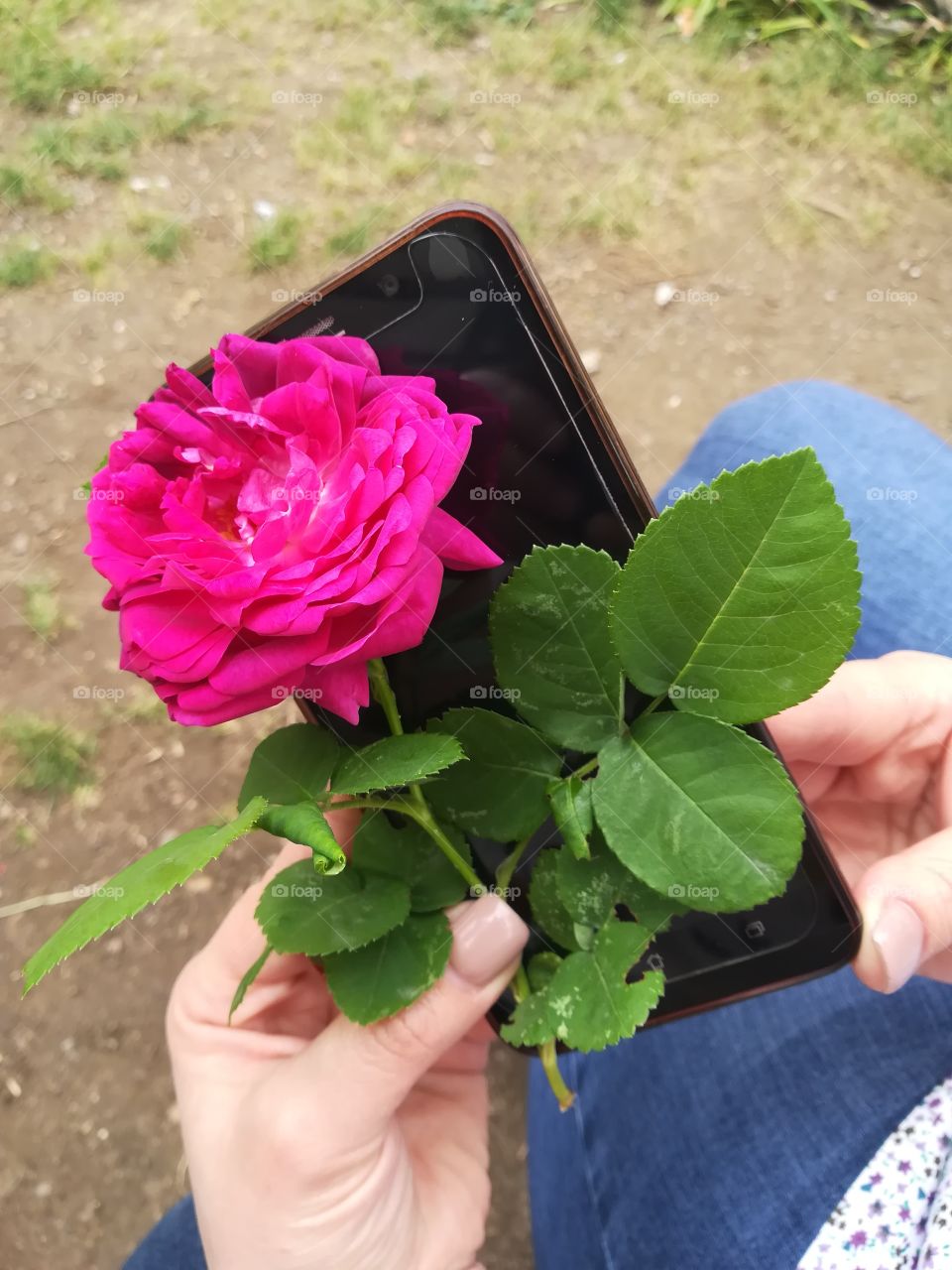 flowers and phone