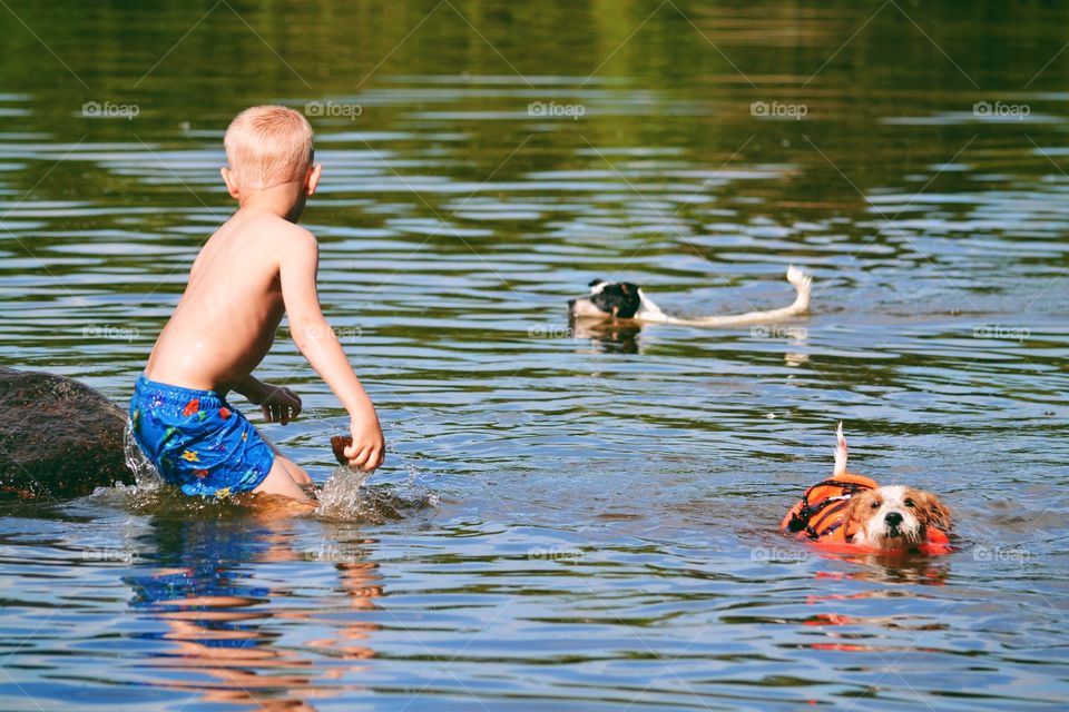 Boy playing in the water with dogs