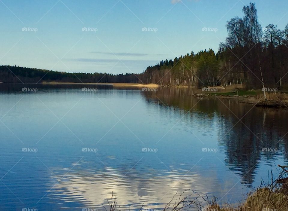 Lake with reflection