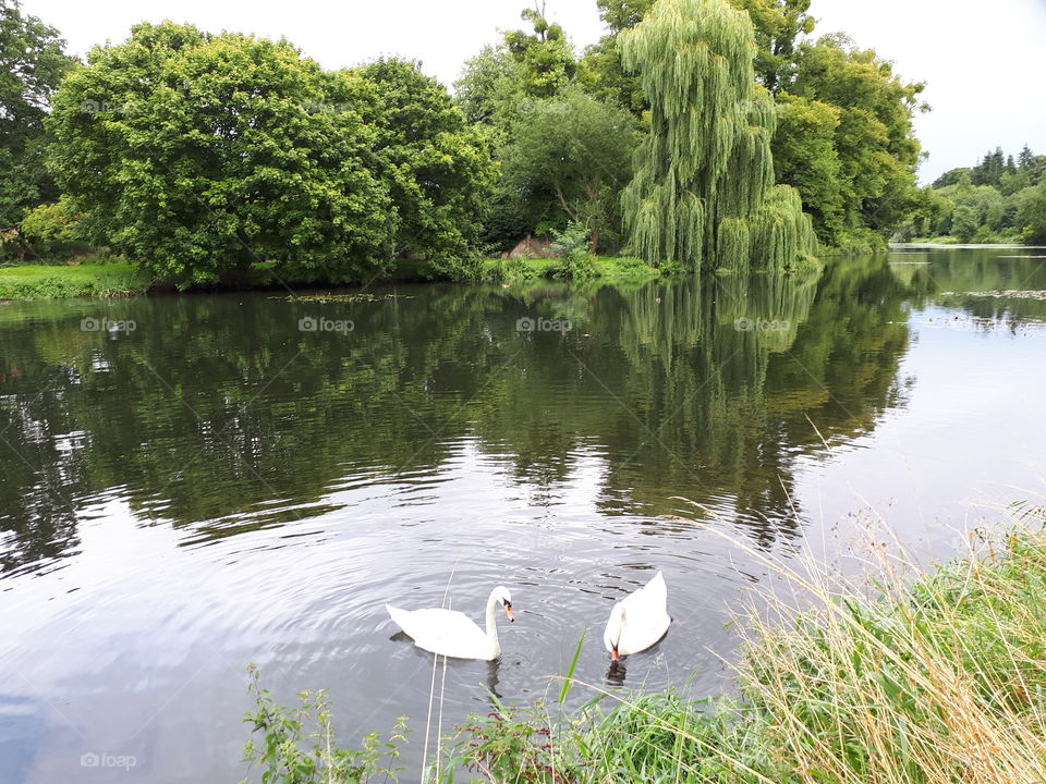 Relaxing Lake