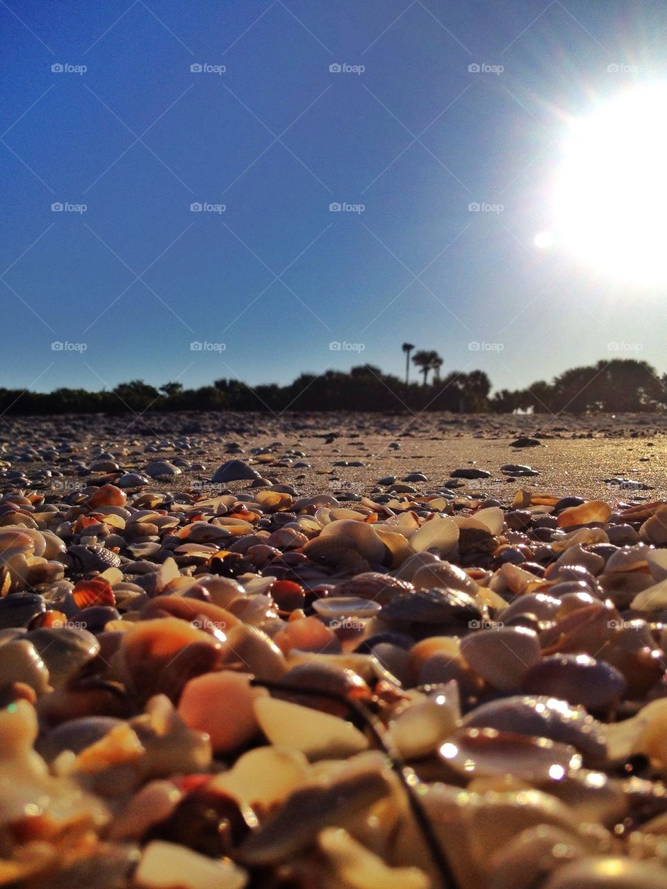 Manasota Key, Florida