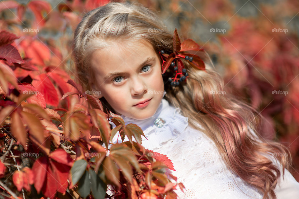 Portrait of little girl