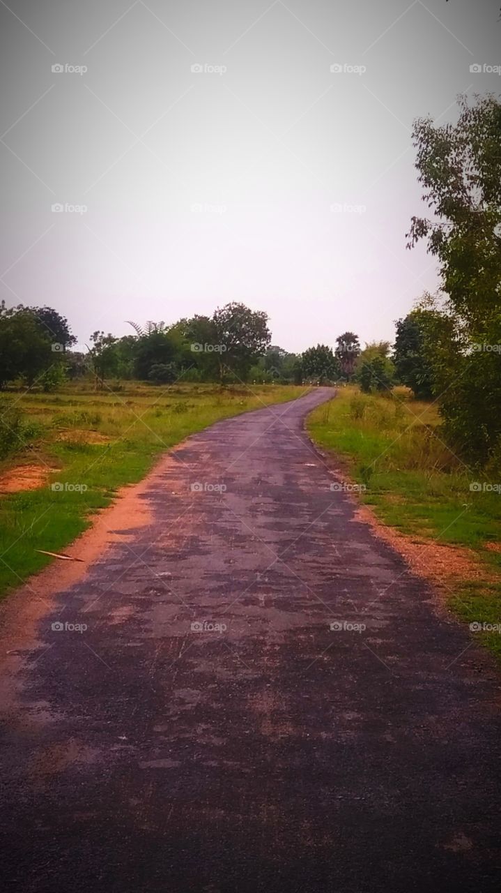 road at the field