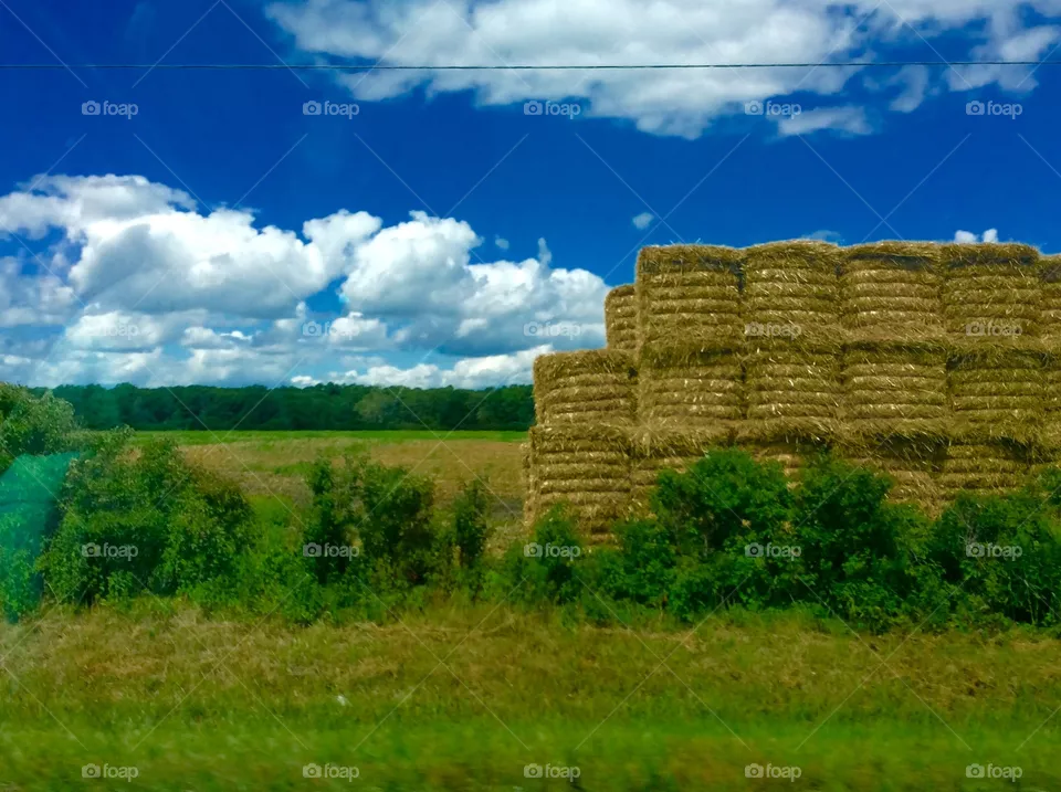 Straw