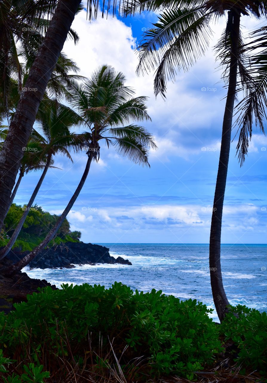 The shoreline of the Puna district on the Big Island of Hawaii