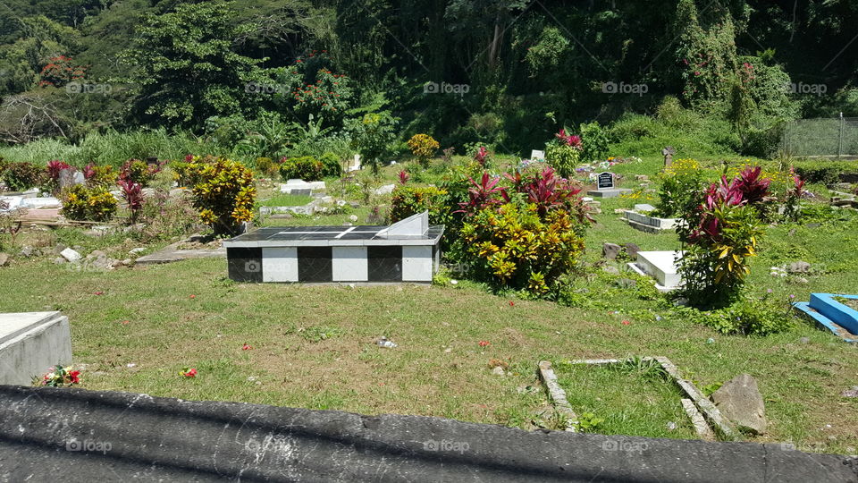 carribean grave yard