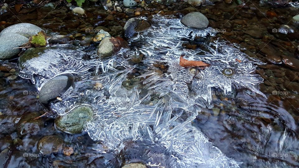 Mother Nature Frozen