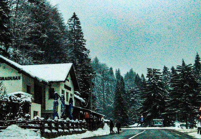 winter