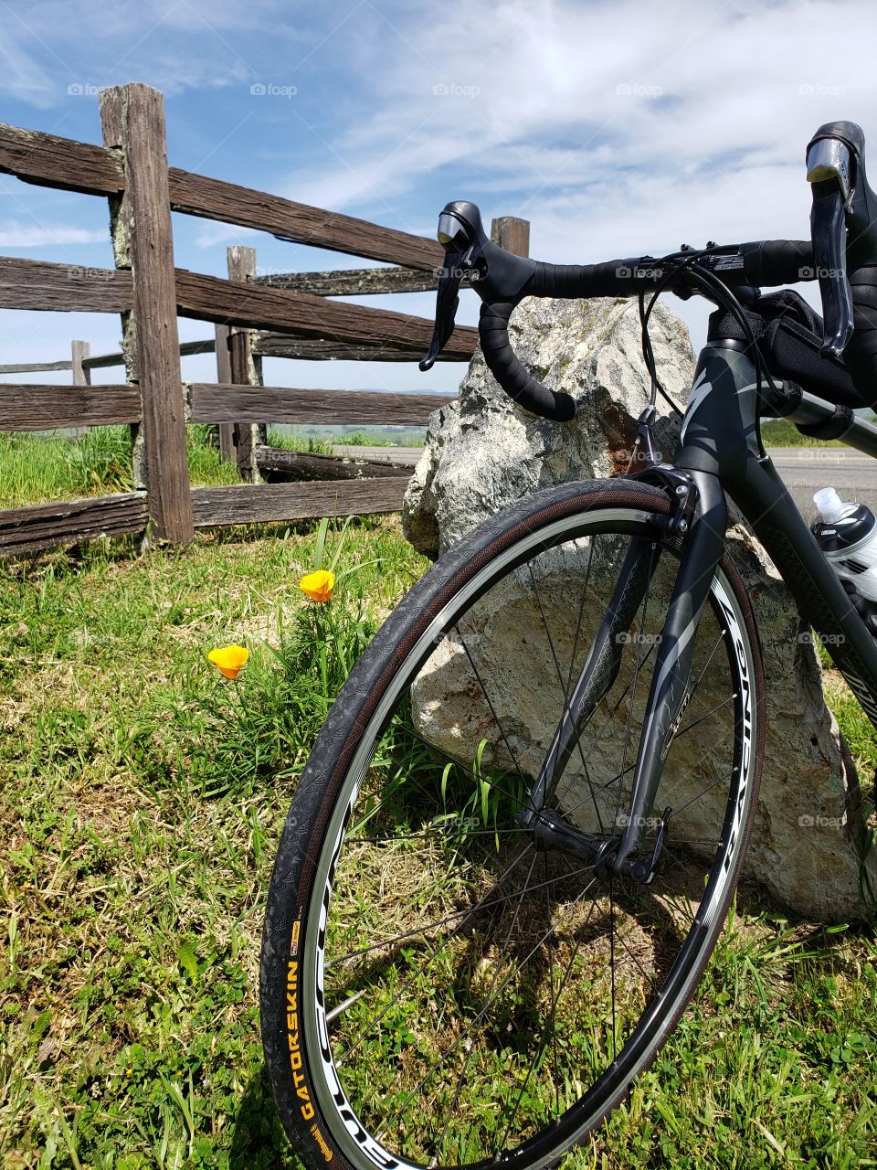 Bike and 2 poppies