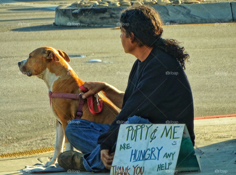 Homelessness In America. Man And His Dog Panhandling