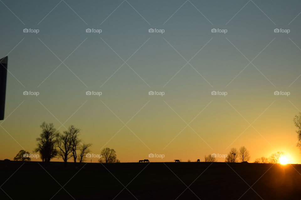 End of a day on the farm