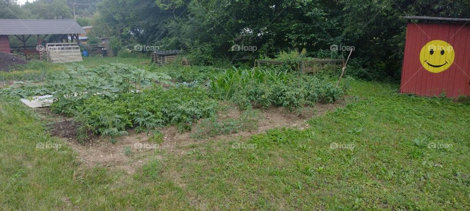 be autentick Green eko