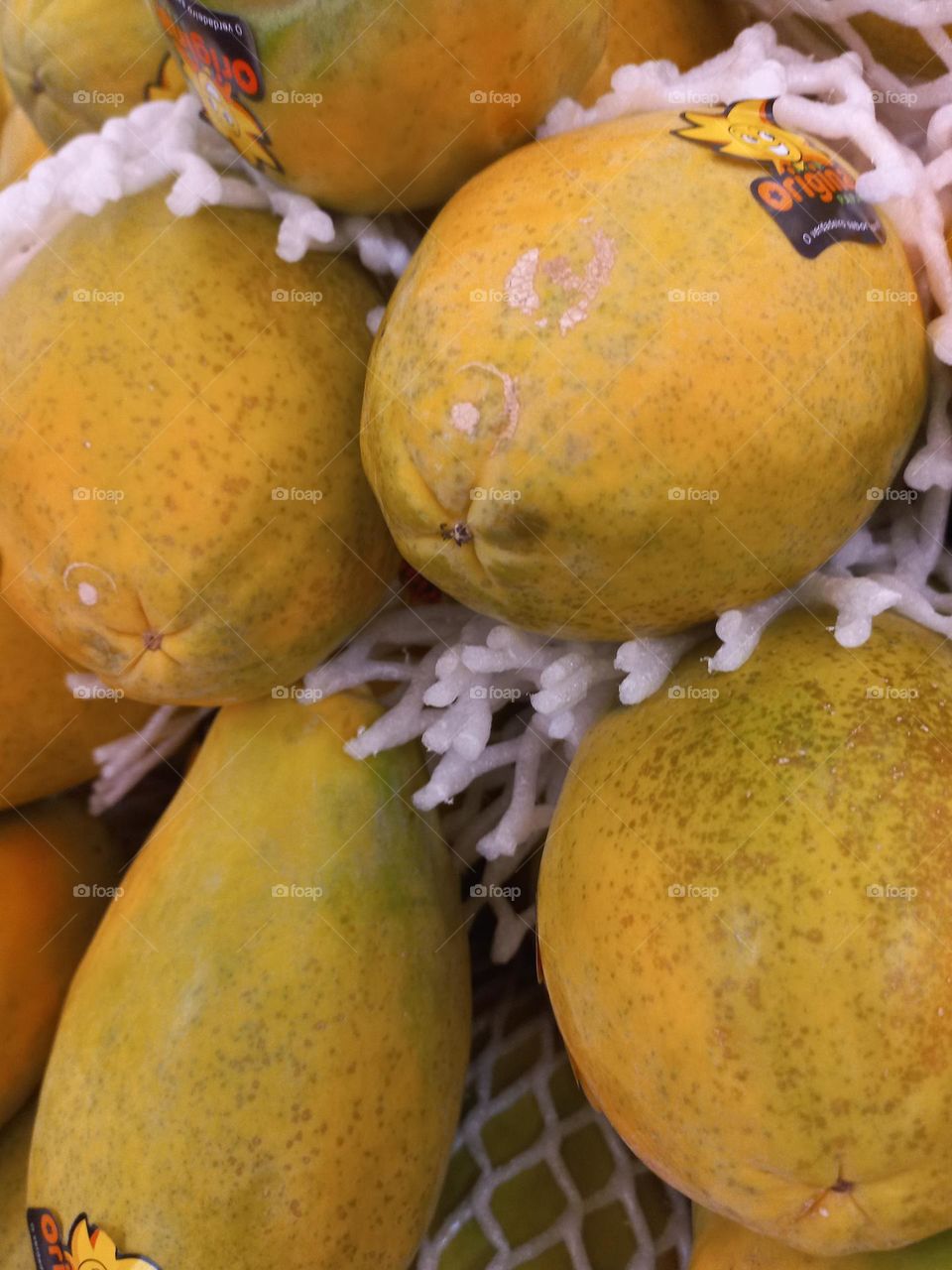 O Mamão papaya,  possui grande quantidade de fibras, rico em vitaminas A, C, K, E, complexo B, cálcio, potássio,  magnésio e fósforo