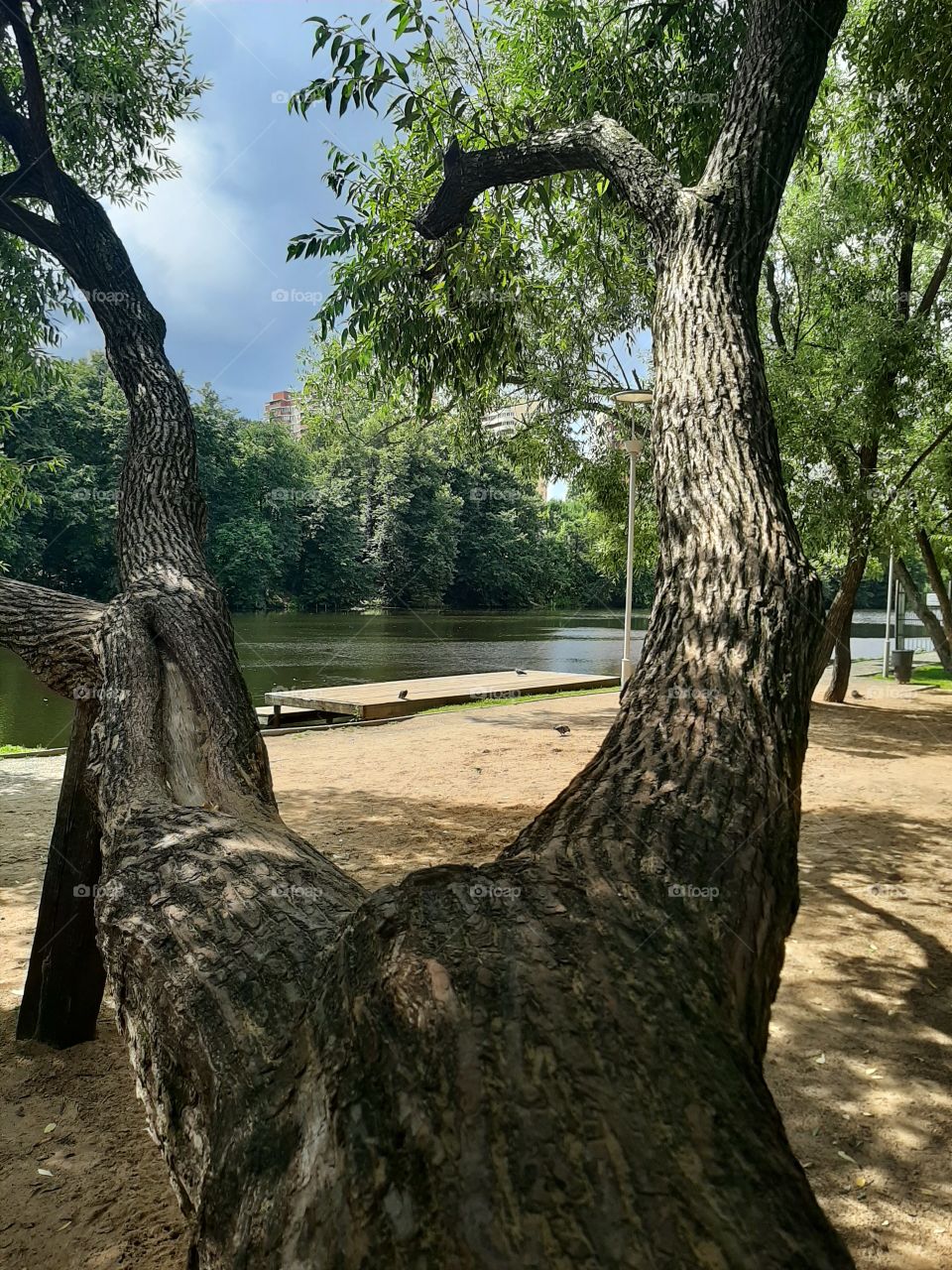 На  реке  десна.