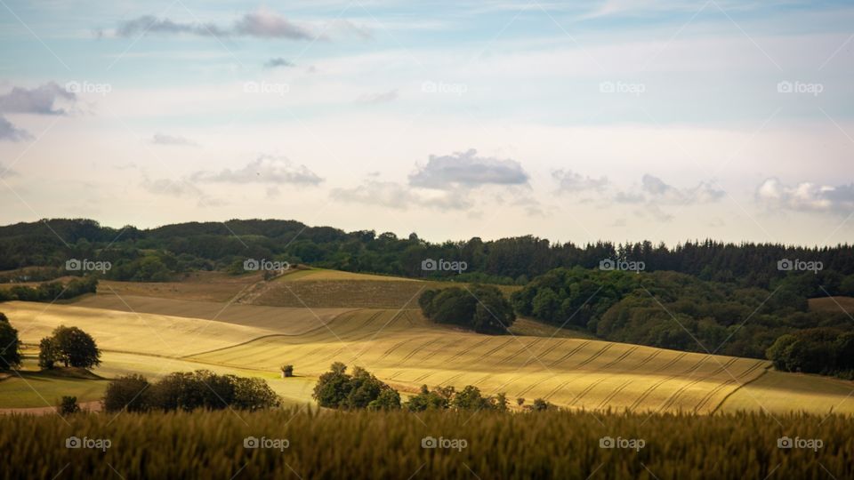 This shot is taken just outside the city i live in. The colors of wet crop fields are just amazing.