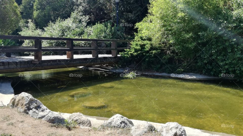 Puente de agua