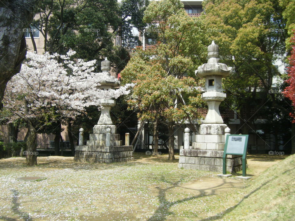 Cemetery, Tree, Grave, Garden, Architecture