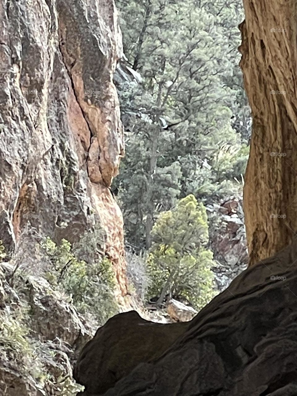 When the spirit cry for peace and beauty 