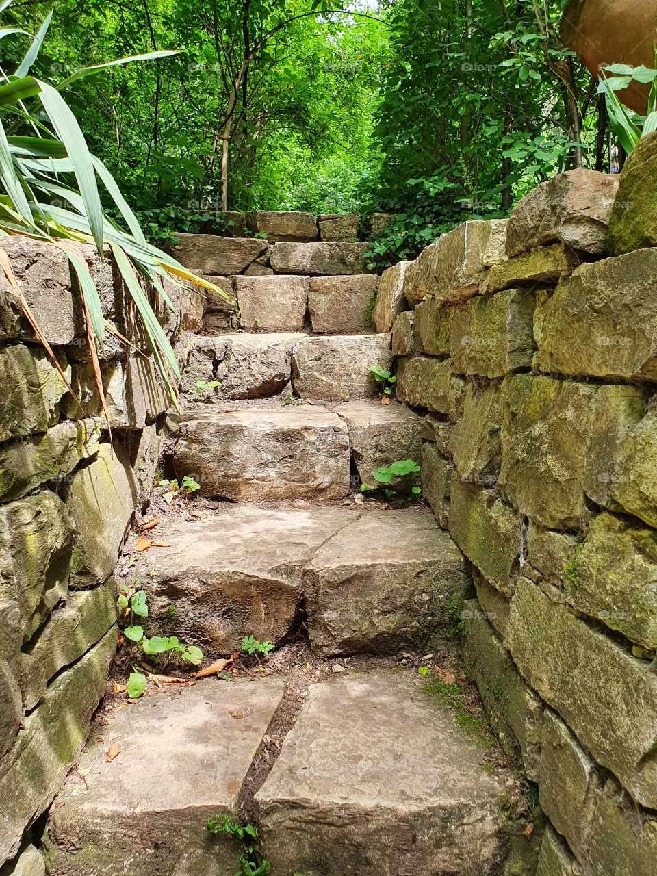 step for step