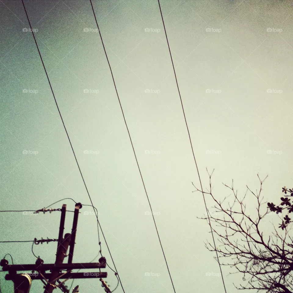 Wire, Electricity, Sky, Voltage, Energy