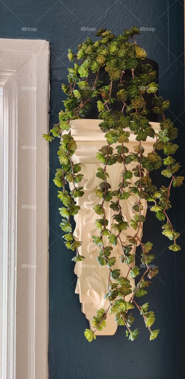 elegant white wall sconce with flowing green plant