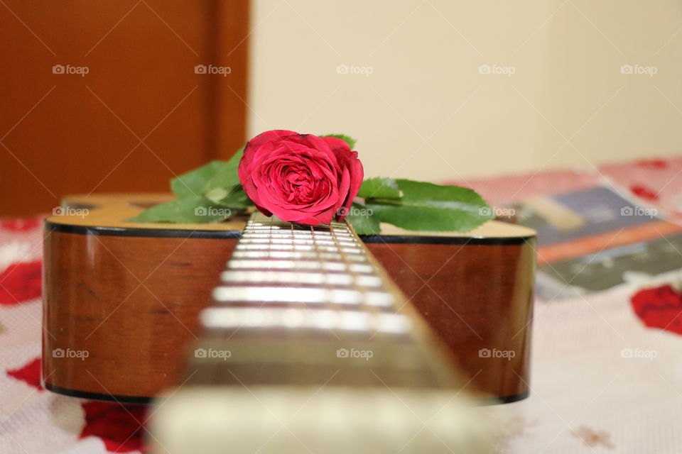 Red Rose on Guitar