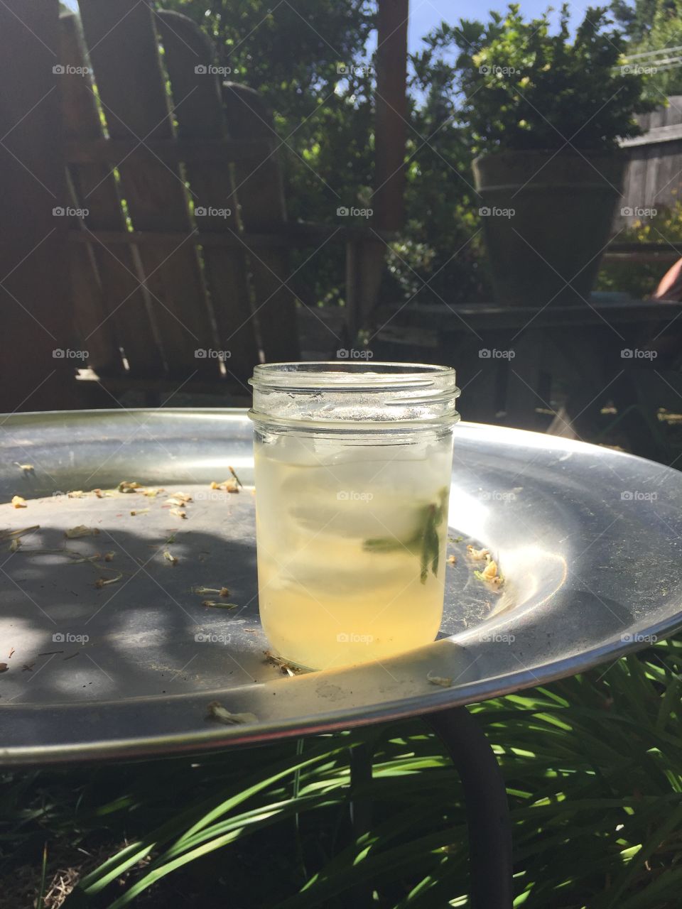 Moscow mule in the garden