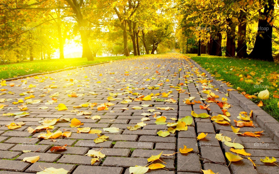 This is my photo and i have the right to sell it
I world like submit location data