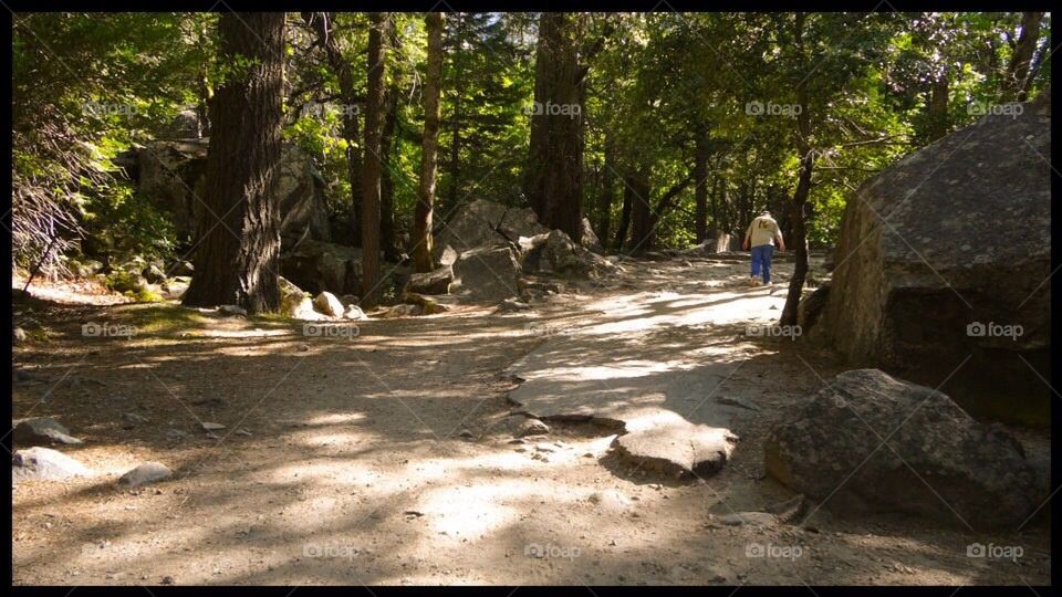 Yosemite national park