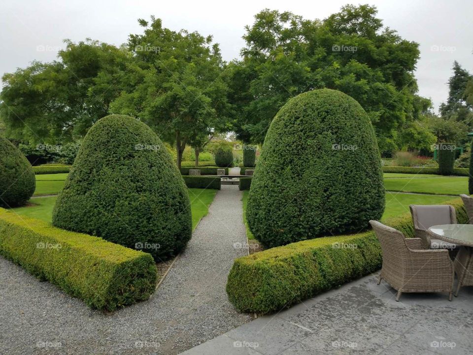 Garden, Topiary, Lawn, Hedge, No Person