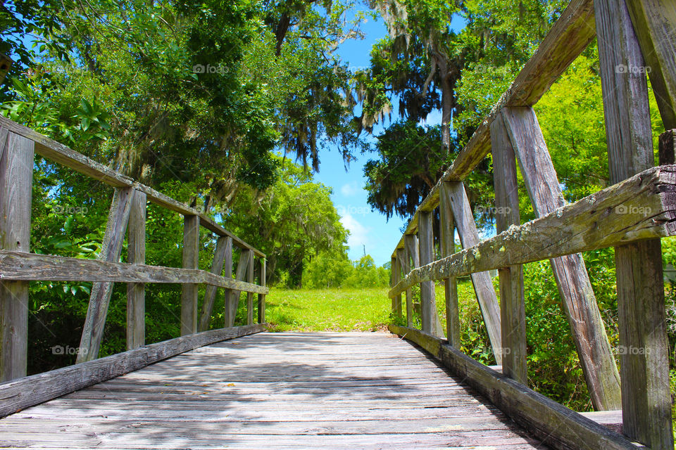 Lush and green 