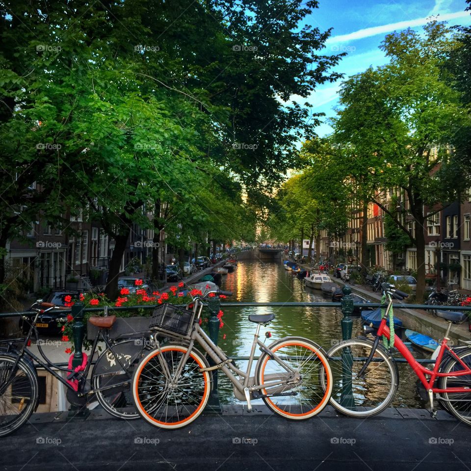 Amsterdam canals and bikes. 