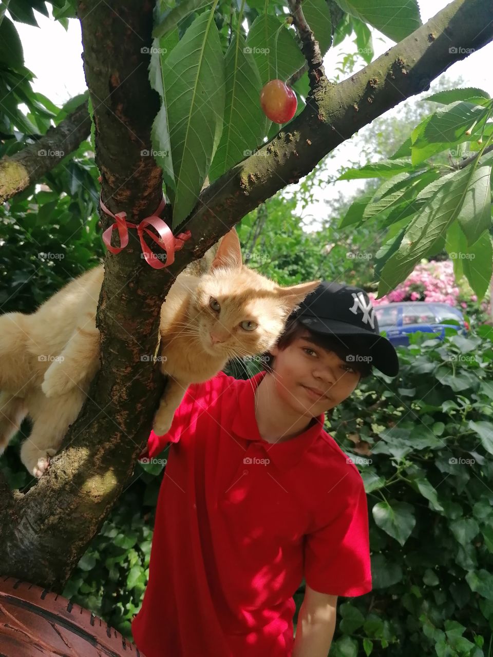 Kids' Week: Kids and Animals