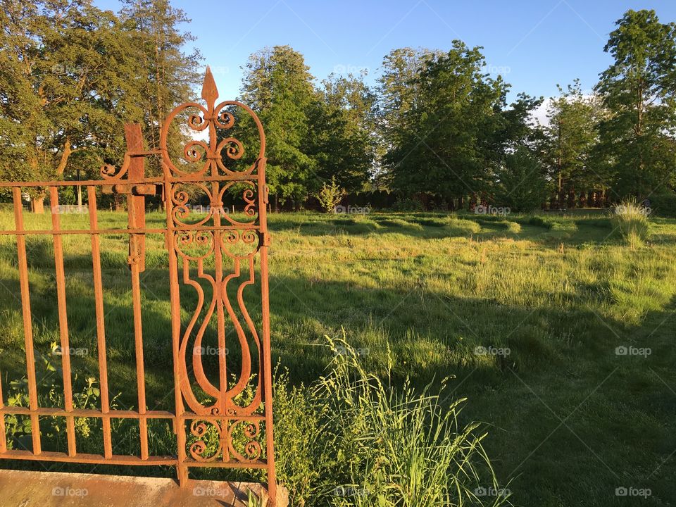 Rusty iron fence 