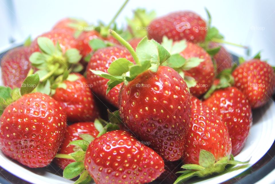 Fresh Red Strawberries 