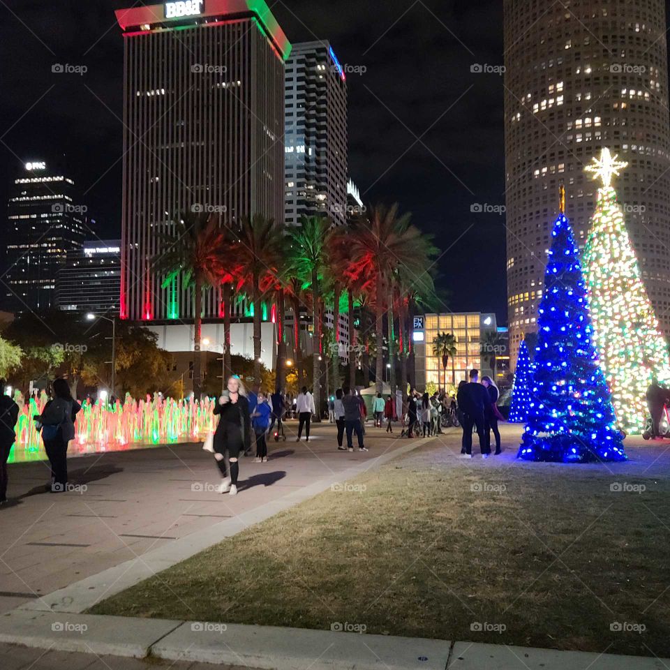 Christmas in Tampa Florida