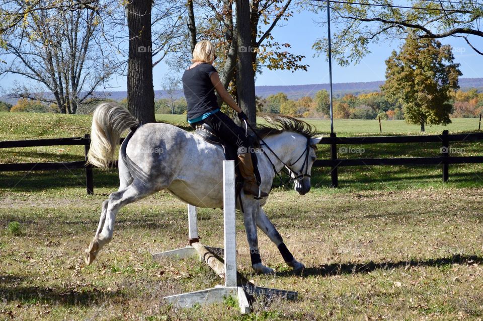 Horseback riding 