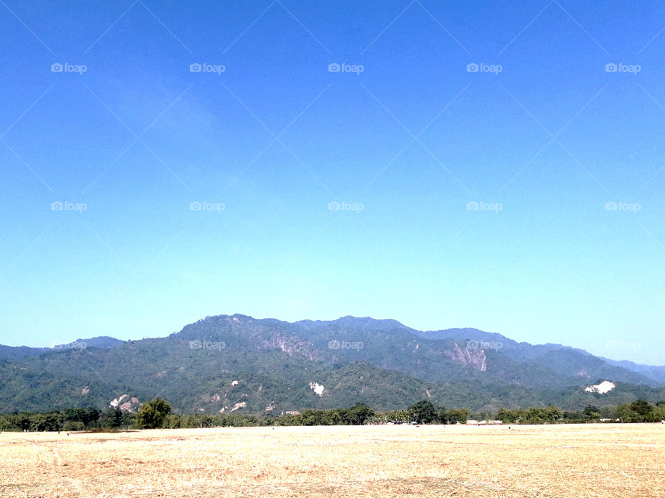 Mountain near the village, Natural, dry rice field.