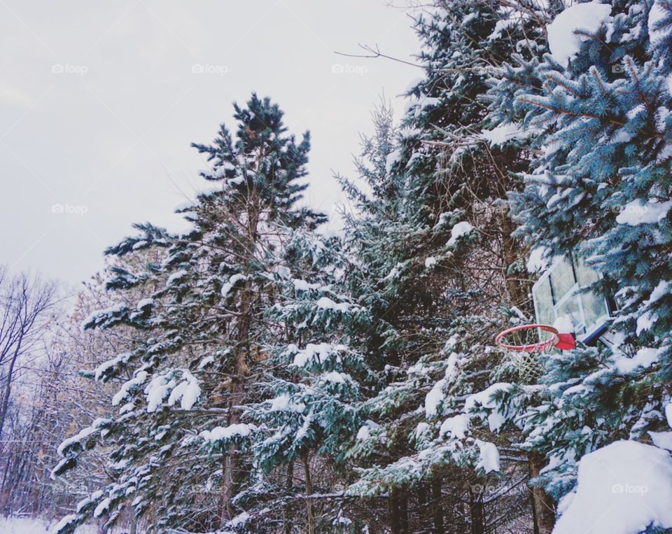 First snowfall in Michigan