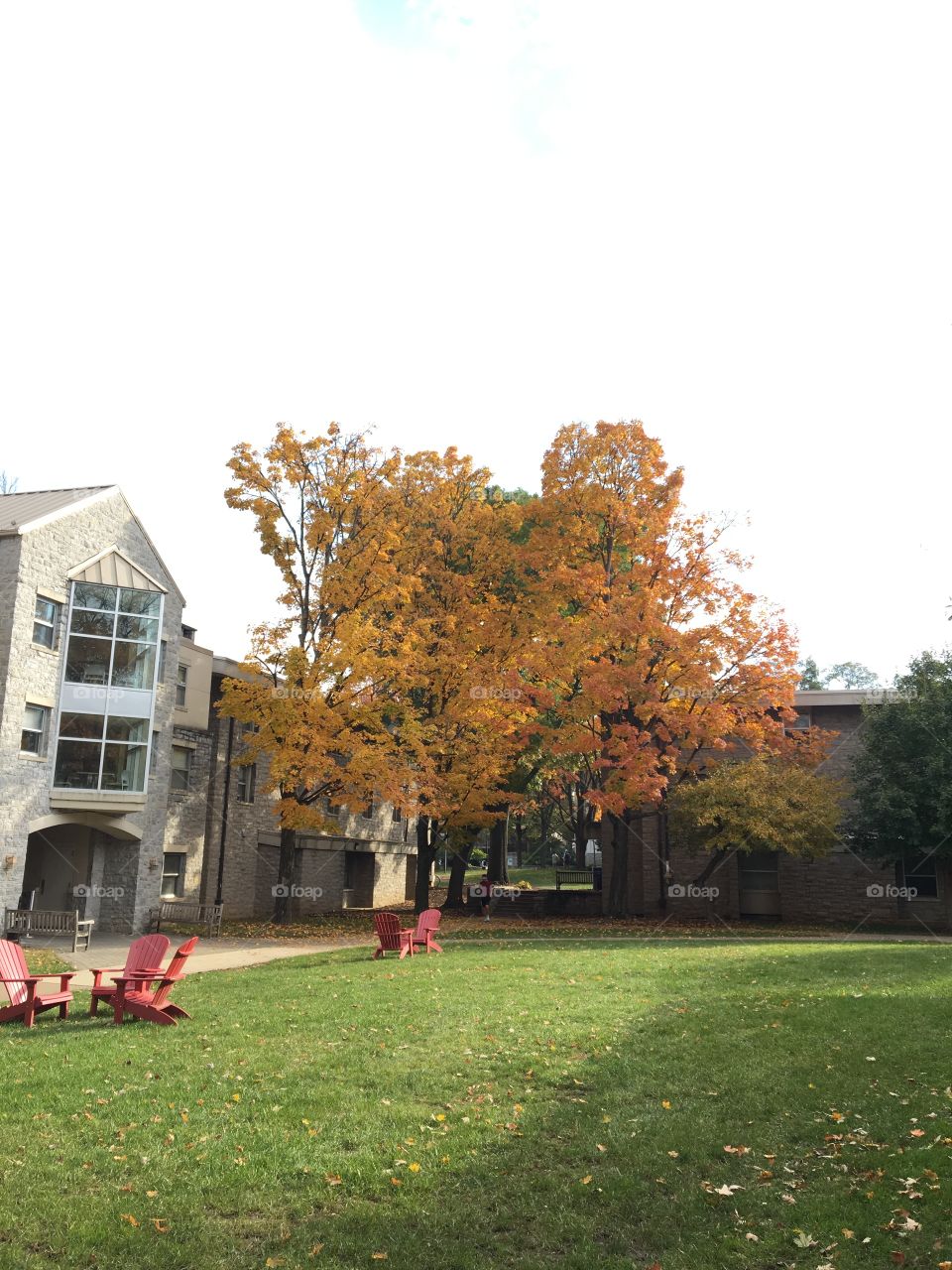 A residential quad at Dickinson College at the start of a mild autumn