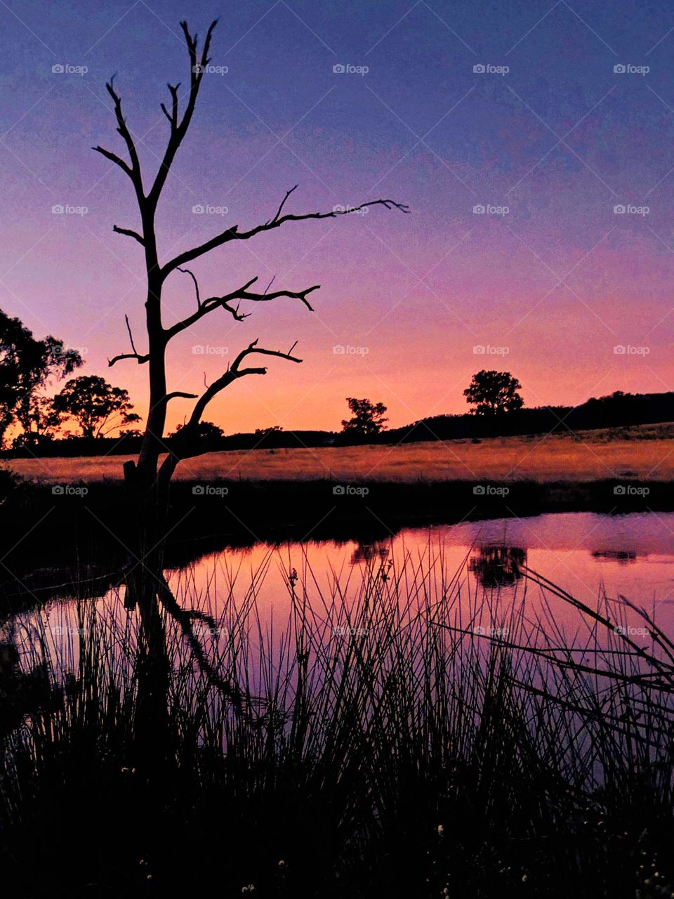 A Beautiful country sunset. Photograph was taken on a rural property in Tooraweenah NSW Australia