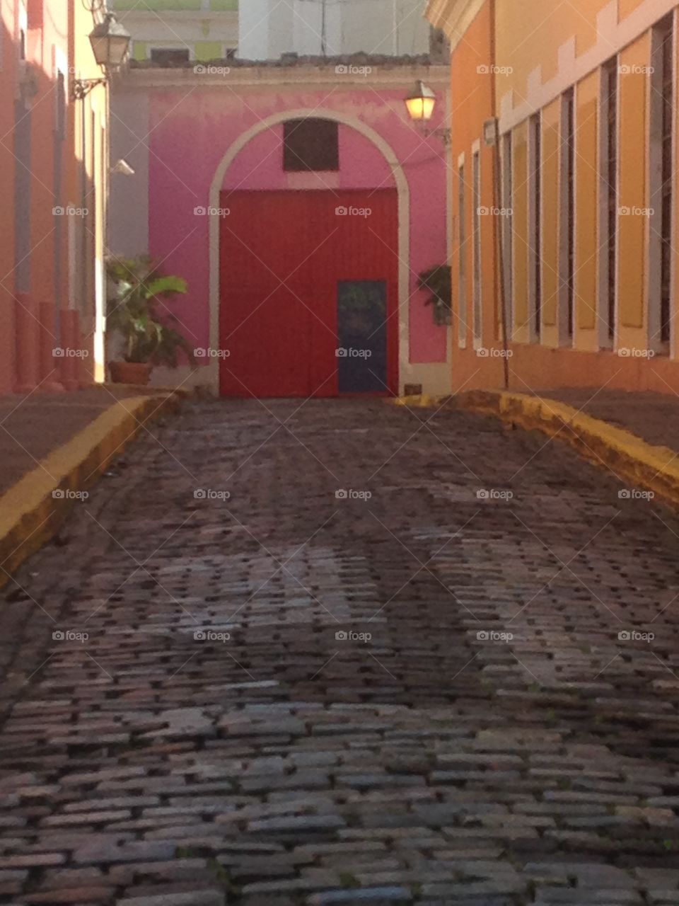 Red Door Puerto Rico