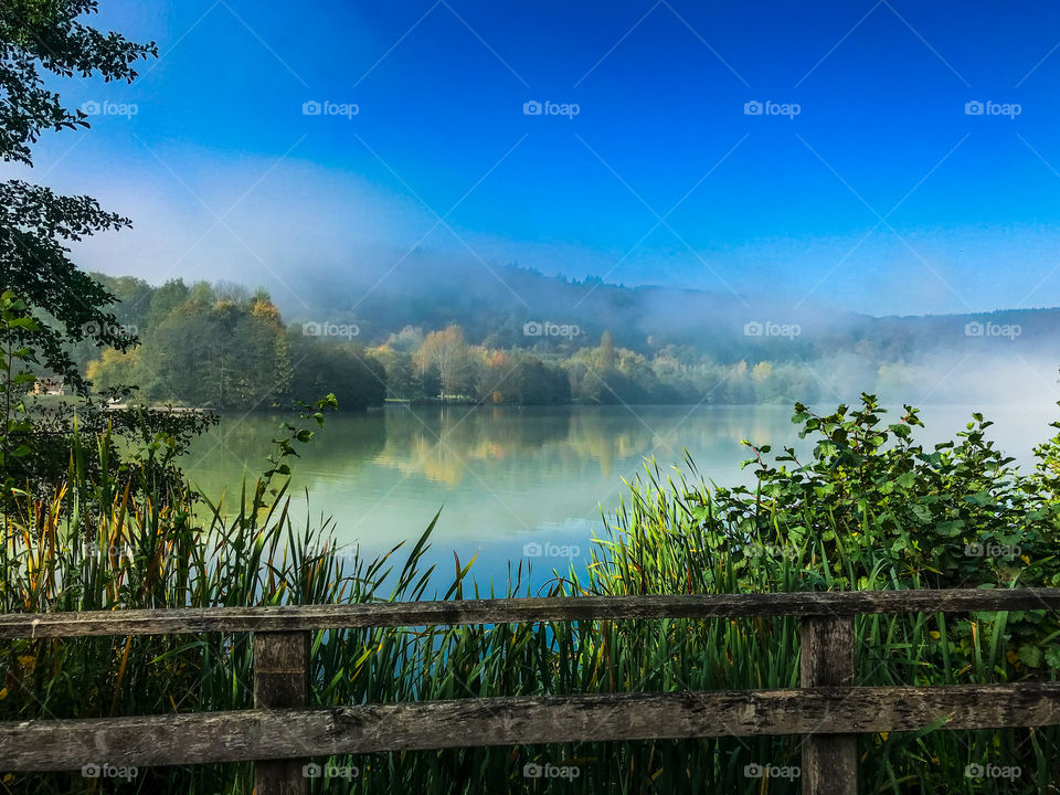 morning fog over the lake in the forest