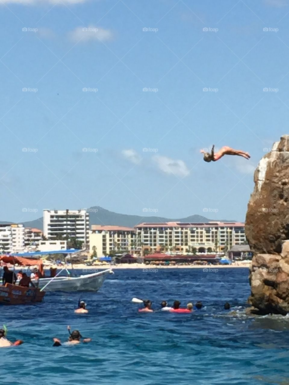 Swan dives in cabo