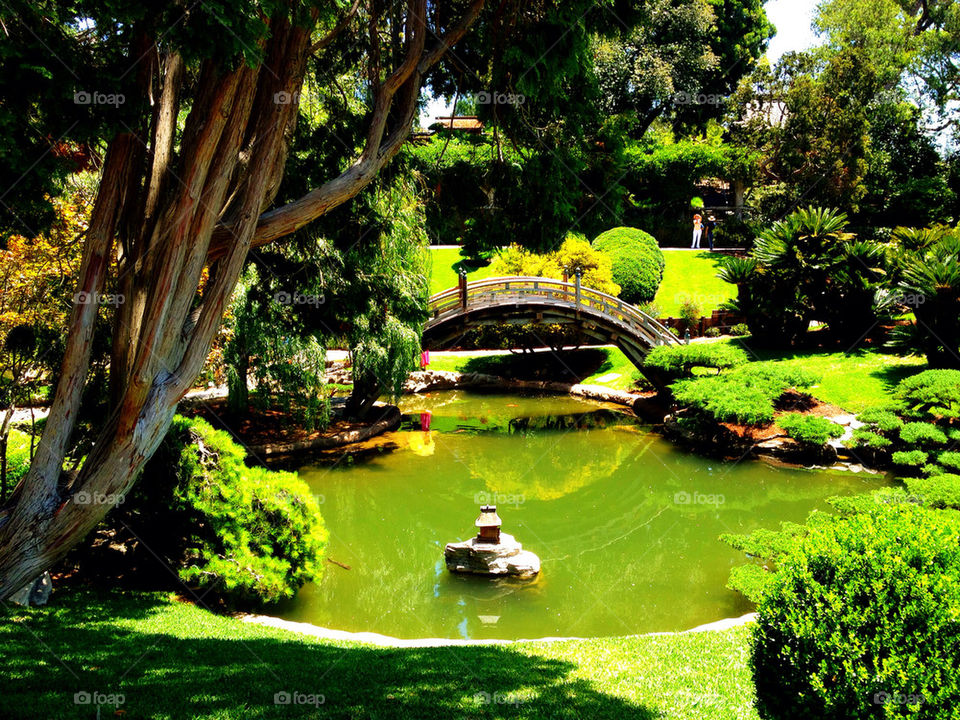garden pond bridge japanesegarden by havenner