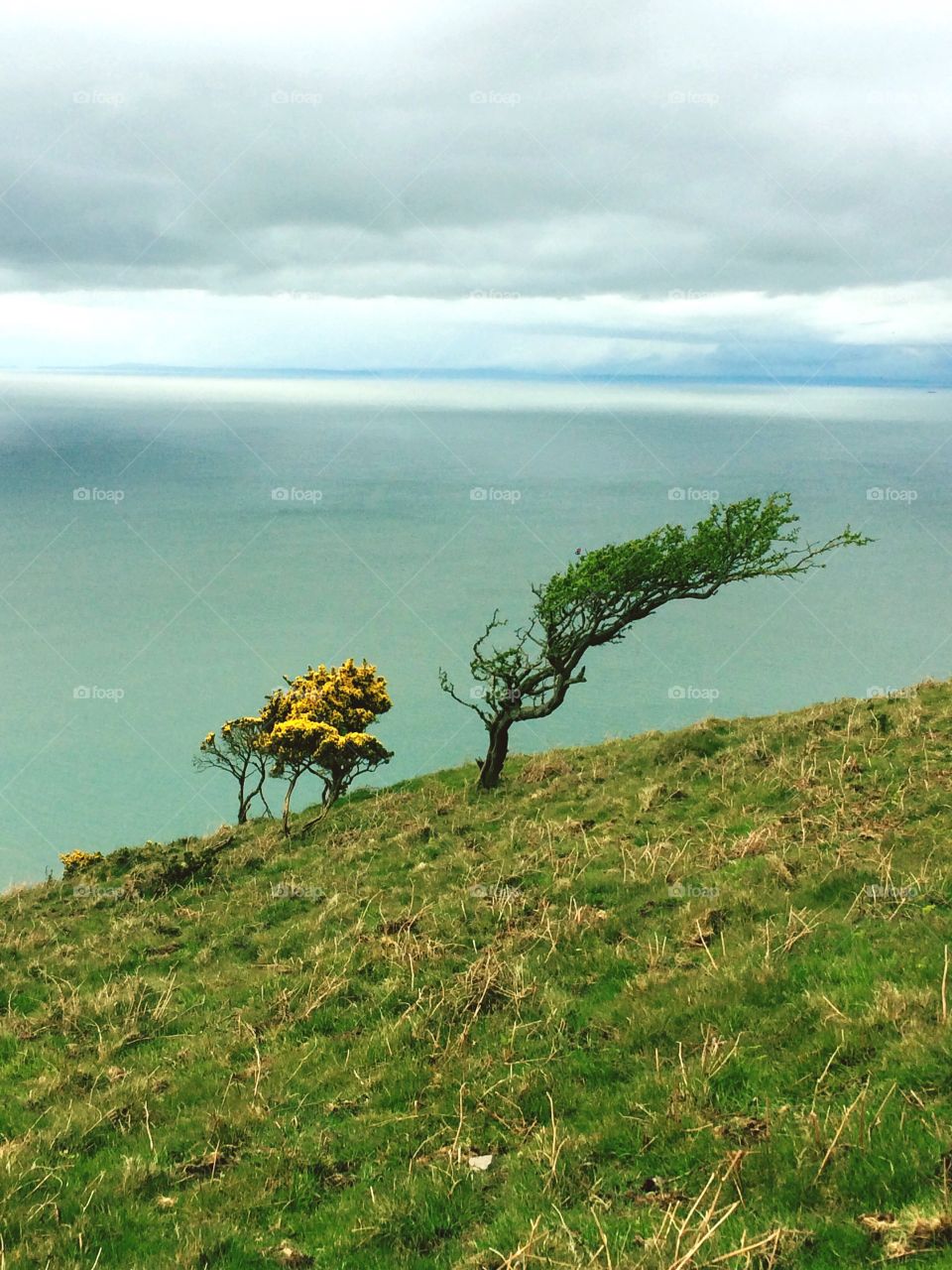 As I look out to see