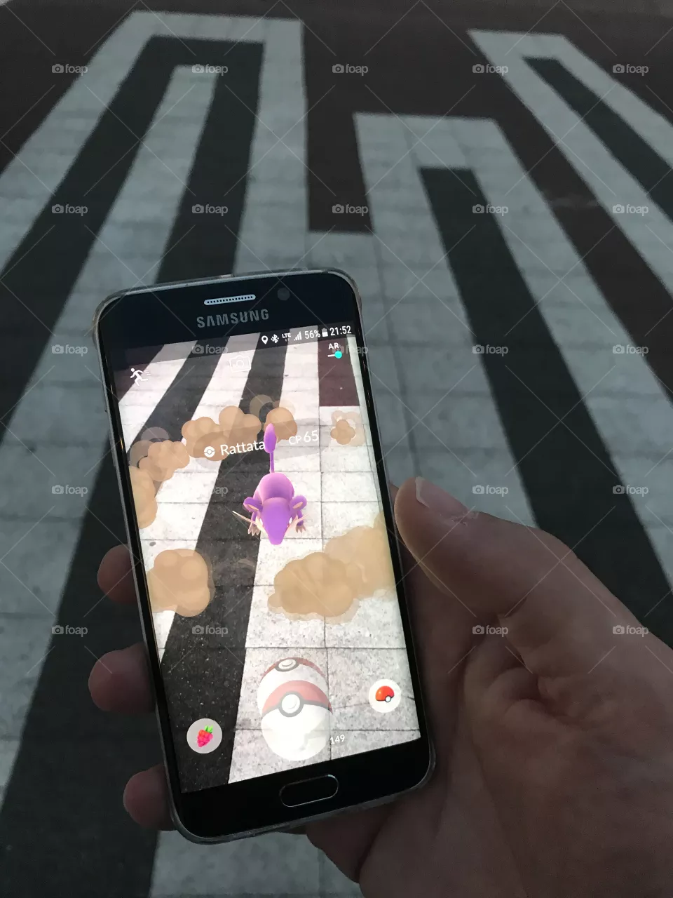 
Pokémon Go