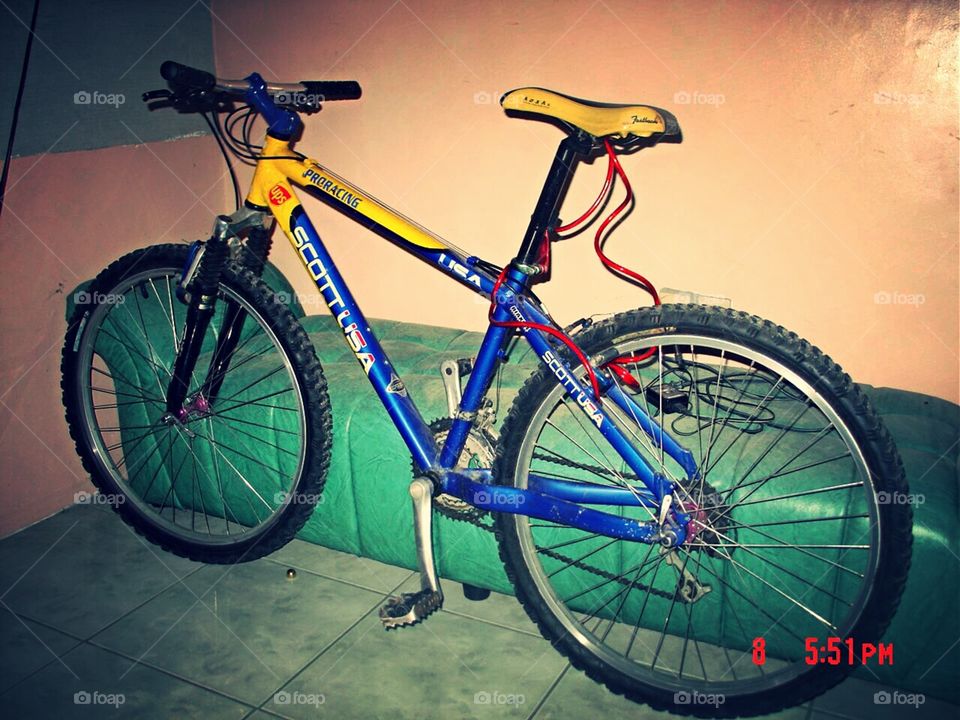 my mountain bike. had it since 2003...