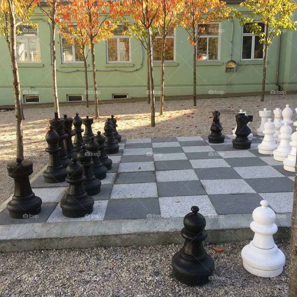 Playing chess. 